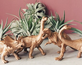 Gold Dinosaur Planter & Air Plant