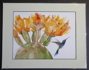 Prickly Pear Cactus Flowers with Humming Bird, 11x14 matted print by June Jurcak