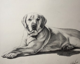 Animal Drawing, Custom Pencil Portrait, Pet Lover Gift, Golden labrador
