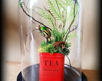 Bell glass landscape box red and beetle (small)