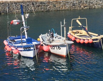 Sitting Pretty at Mullion Cove