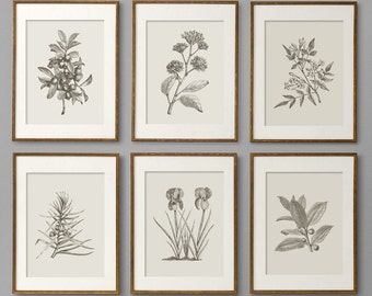 Botanical Prints, Botanical Print Set, Botanical Art, Botanical Wall Art, Botanical Art Prints, Kitchen Decor, Kitchen Wall Art, Wall Art
