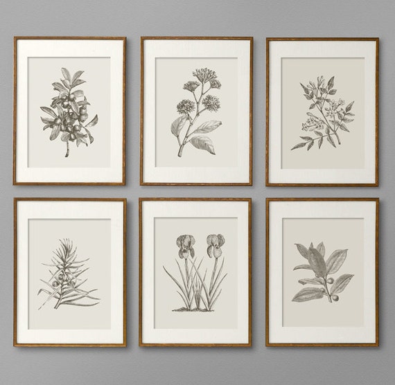 for inch frame 8x10 print Botanical Print Botanical Art Botanical Set Prints