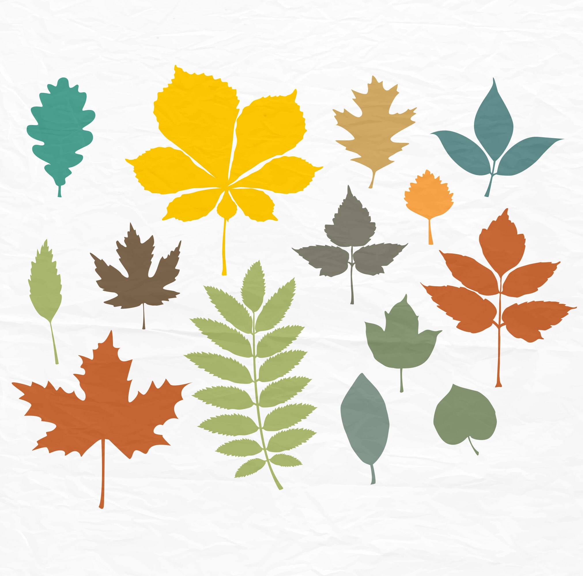 Download Fall Leaves SVG and Clipart Leaf svg leaves svg leaf cut