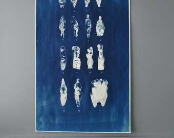 Massive Goddess Identification Cyanotype Chart