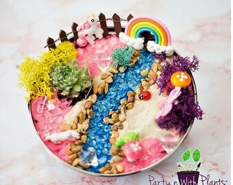Unicorn Fairy Garden, Succlents, Fairy Garden Kit, Succulent, Unicorn Craft, Unicorn Birthday Party, Unicorn gift, Unicorn Garden kit, Pony