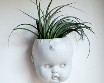 Doll Head Wall Planter, Concrete Baby Head, Air Plant, Succulent