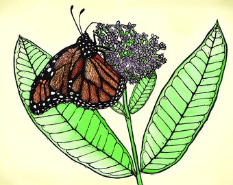Monarch Butterfly Card