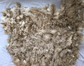 3.5 lbs Corriedale x Lincoln lamb OLIVE, spin, knit, crafting, felting, on a budget!