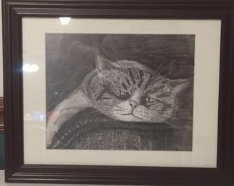 Relaxing Tabby