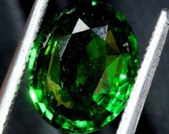 3.11 carats TSAVORITE GARNET - certified