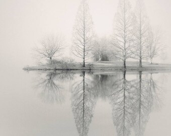 foggy landscape photography, lake house art, lake house decor, fog photography, fine art landscape, tree photography, winter photography