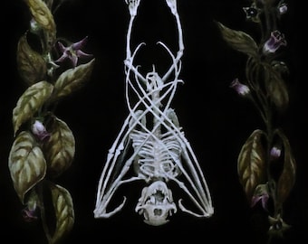 Memento Mori III, bat bones, skeletton, murcielgao esqueleto huesos