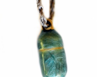 Stardusts in pearl turquoise