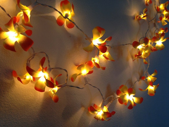 35 Bulbs Vintage Yellow Frangipani flower string lights