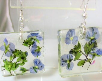 Blue Veronica, Real Flower Earrings, Pressed Flower Jewelry, Resin (2066)