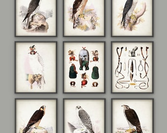 Falconry Wall Art Print Set of 9 - Falconry Art Print - Bird Of Prey - Falcon - Hawk - Hawking - Gamehawking - Falconer Art Gift Idea