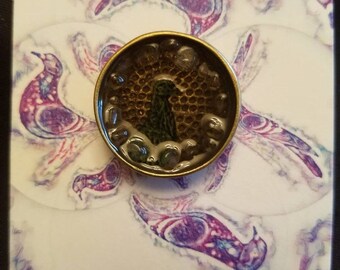 Funky Quartz Pigeon Pin