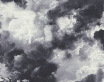 Gray Cloud Fabric Timeless Treasures Wicked Eve C3763, Cloud Landscape Fabric, Halloween Fabric, Stormy Sky Fabric, Gray Sky Fabric, Cotton