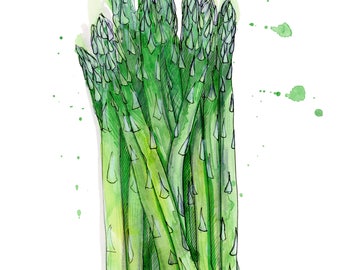 Asparagus - Art Print - Home Decor - Food Illustration - Kitchen Art