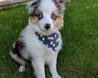Over Collar Pet Bandana | Dog & Cat Accessories | Summer S'mores