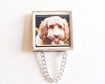 Blonde Labradoodle Dog #1 Eyeglass Holder