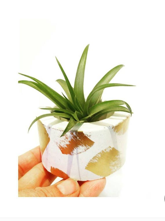 Concrete Planter/Concrete Air Planter/Candle Holder/Ring Holder/Air Planter/Air Plant/Concrete Decor/Tea light holder/Industrial decor