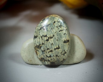 Variscite Cabochon 40-4885