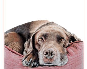 Fine Art Chocolate Lab Greetings Card