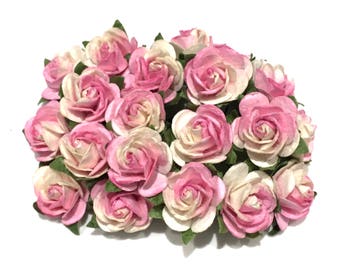 Pink And White Open Rose Or045