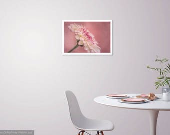 Pink Illusion - Digital Print