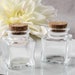 Mini Glass Favor Jars (Pack of 10) Rustic Country Wedding Favors