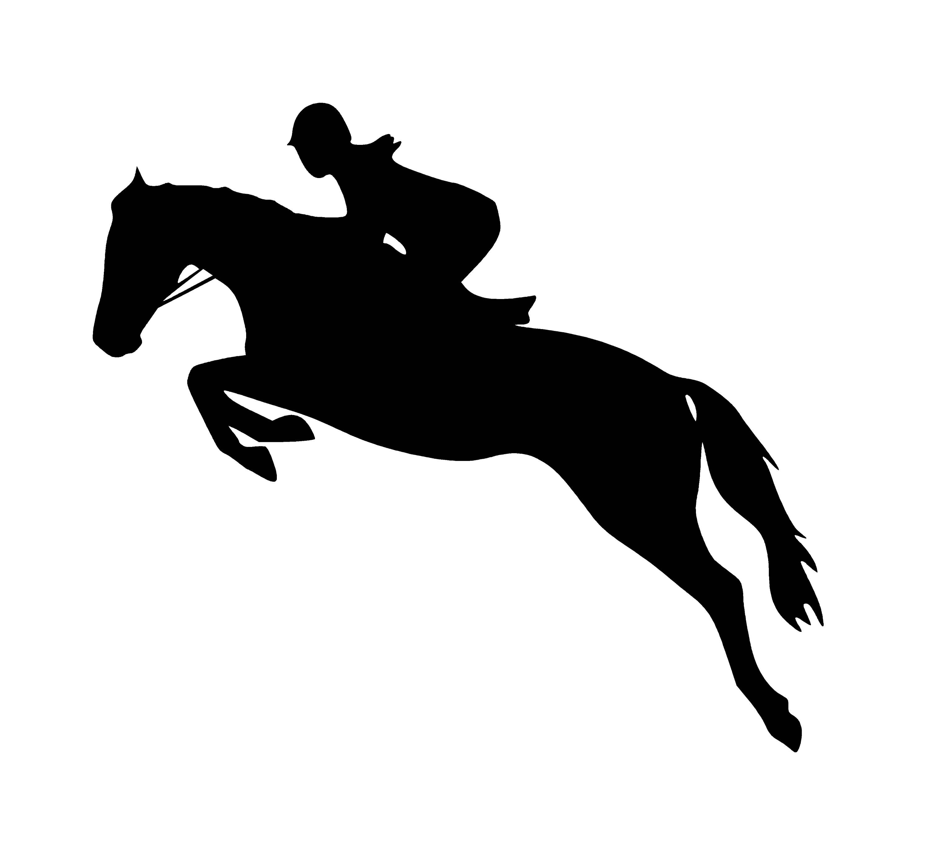 Download Horse vector SVG and PNG Digital Download horse vector