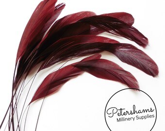Loose Stripped Coque Feathers (Pack of 10) for Millinery & Fascinators - Mahogany