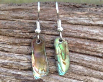 Paua Shell Earrings - Nickel Free - Natural Abalone Earrings -Paua Shell Jewelry - Ocean Earrings - Gift for Her - Womens Earrings - OOAK