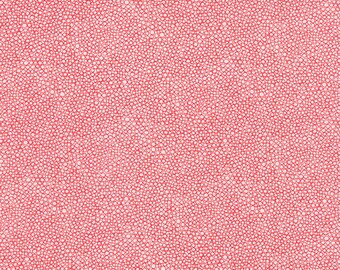 Moda GARDENVALE by JEN KINGWELL Fabric Red Gerbera Scribbles By The Yard 18108 22