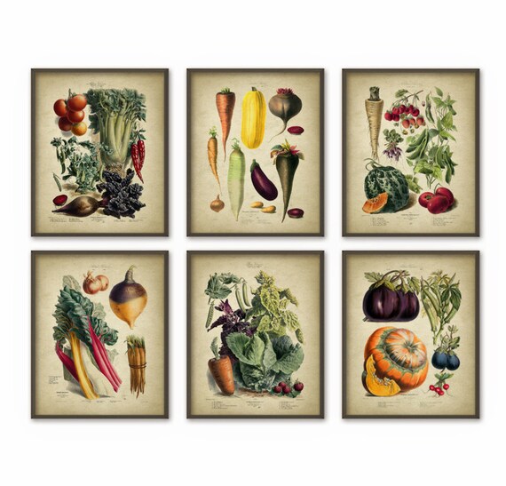 Vegetables Kitchen Wall Art Print Set of 6 Antique Botanical