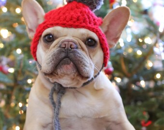 Dog beanie with pom pom / dog hat / crocheted dog hat / dog gift