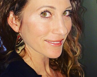 PEI Earrings: Real Prince Edward Island Columbia moth forewings!