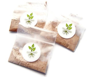 Mineral Makeup Samples - Choose Foundation Veil Or Concealer 1/2 Teaspoon Each