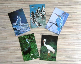 Soviet Vintage Birds Postcards Set of 5 Birds Postcards Soviet Postcards Made in USSR in 1984