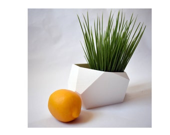 3D Printed Planter for indoor