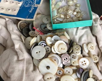 Shell SEaShell Button Collection Small, tiny, and medium over 100