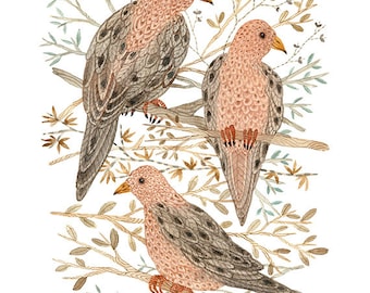mourning doves bird art print