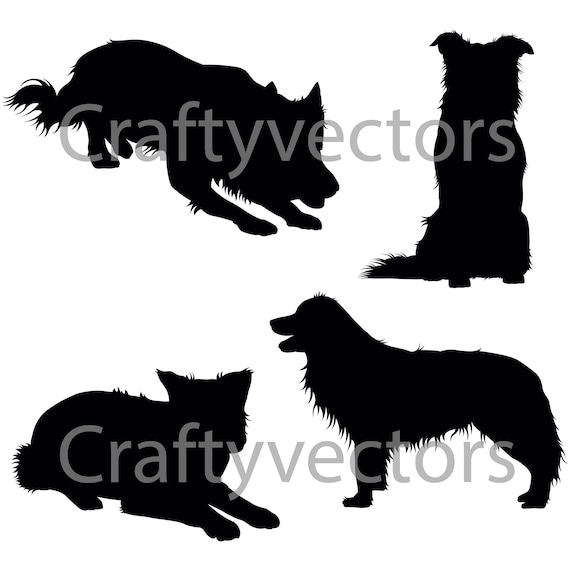 Download Border Collie Silhouettes Vector file