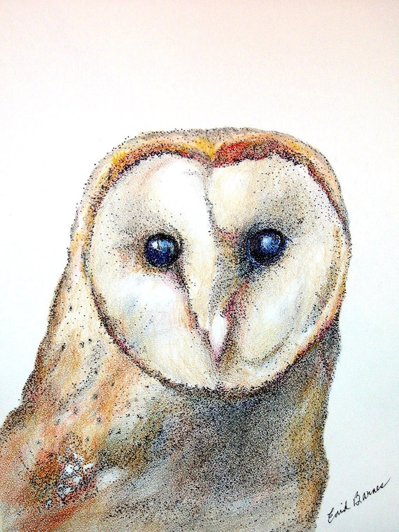 Original Barn Owl Pen and Ink and Colored Pencil Pointillism