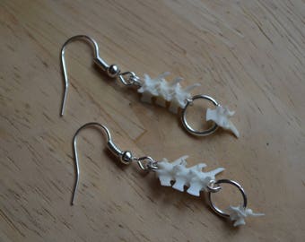Rattlesnake Vertebrae Earrings
