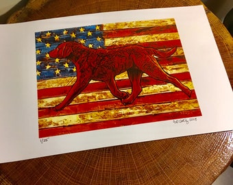 New print - Chesapeake Bay Retriever on American Flag - “Glory”