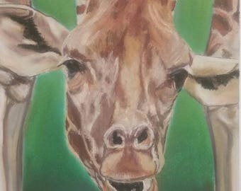 Animal Spirit Guidance Drawing & Reading