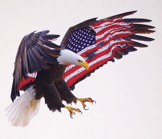 American Flag Attack Eagle 2 RV motorhome Wall Window Graphic